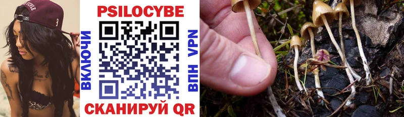 Галлюциногенные грибы Psilocybe  Краснокаменск 